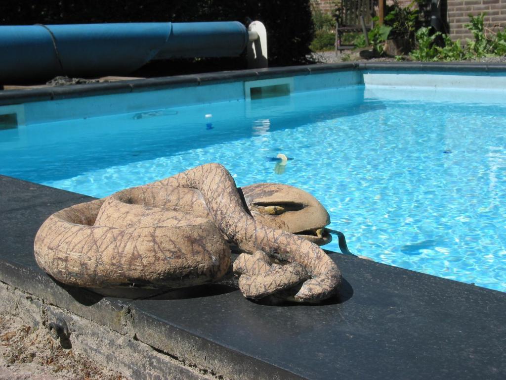 Bed and Breakfast De Hoge Peel Heythuysen Zewnętrze zdjęcie
